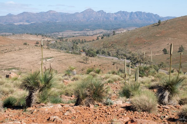 AustraliaAdelaide 10  155